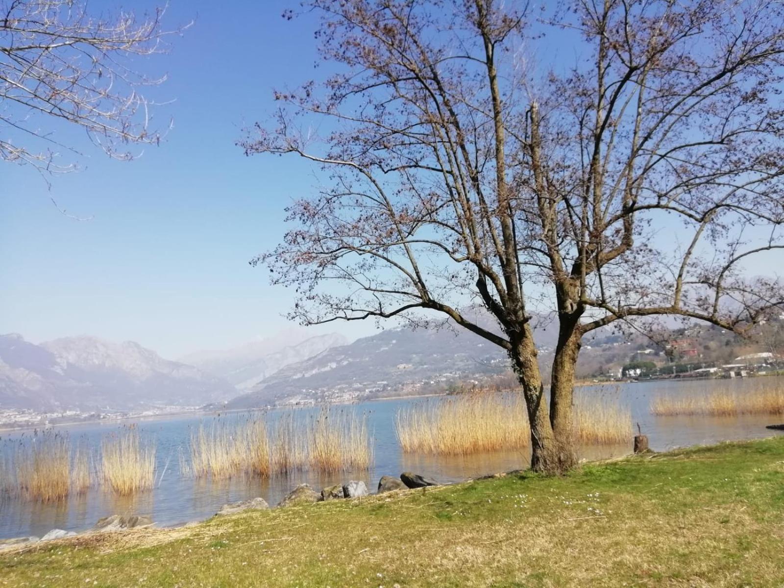 La Poesia Del Lago Oggiono Bagian luar foto